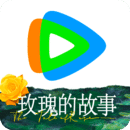 女生足球袜子图片